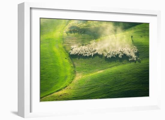 Lemming Like Rush-Marcin Sobas-Framed Photographic Print