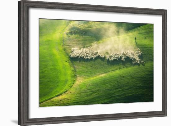 Lemming Like Rush-Marcin Sobas-Framed Photographic Print