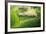 Lemming Like Rush-Marcin Sobas-Framed Photographic Print