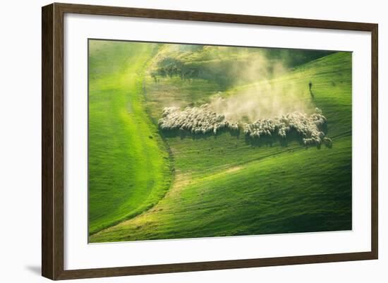 Lemming Like Rush-Marcin Sobas-Framed Photographic Print