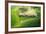 Lemming Like Rush-Marcin Sobas-Framed Photographic Print