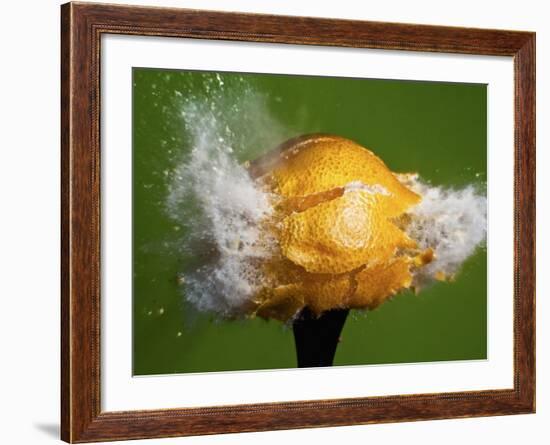 Lemon Aid-Alan Sailer-Framed Photographic Print