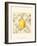 Lemon and Botanicals-Megan Meagher-Framed Art Print