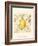 Lemon and Botanicals-Megan Meagher-Framed Art Print