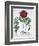 Lemon balm, Peony and adder's tongue fern, 1613-Unknown-Framed Giclee Print