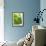 Lemon Balm-Petr Gross-Framed Photographic Print displayed on a wall