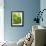 Lemon Balm-Petr Gross-Framed Photographic Print displayed on a wall