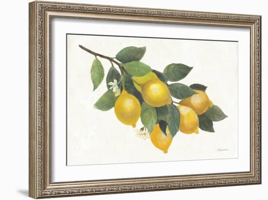 Lemon Branch I-Albena Hristova-Framed Art Print