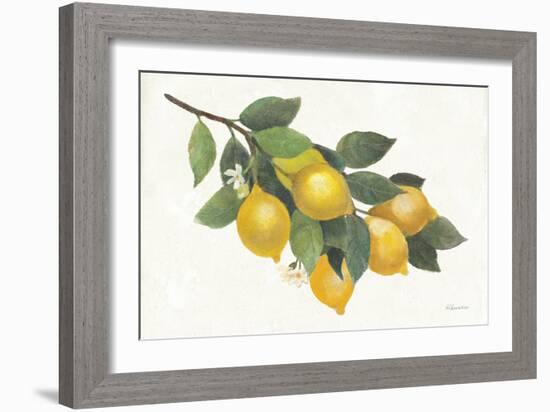 Lemon Branch I-Albena Hristova-Framed Art Print