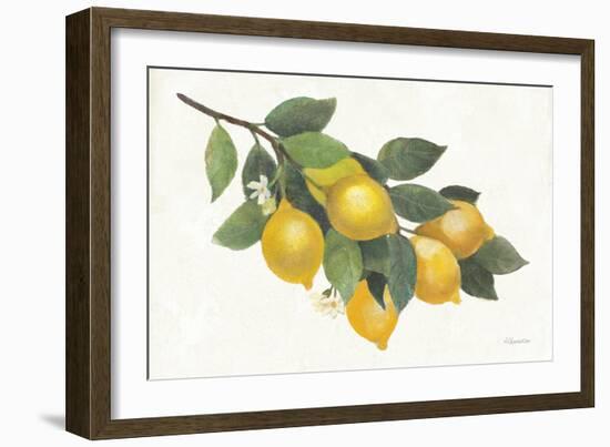Lemon Branch I-Albena Hristova-Framed Art Print
