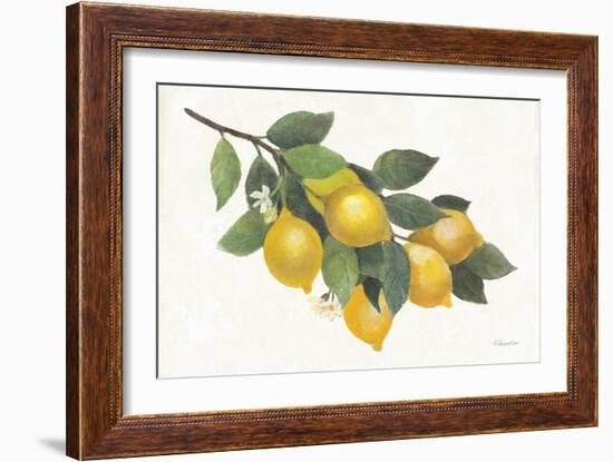 Lemon Branch I-Albena Hristova-Framed Art Print