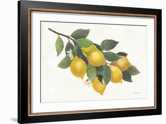 Lemon Branch I-Albena Hristova-Framed Art Print