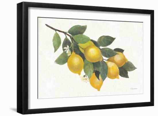 Lemon Branch I-Albena Hristova-Framed Art Print