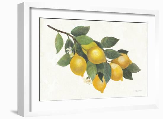 Lemon Branch I-Albena Hristova-Framed Art Print