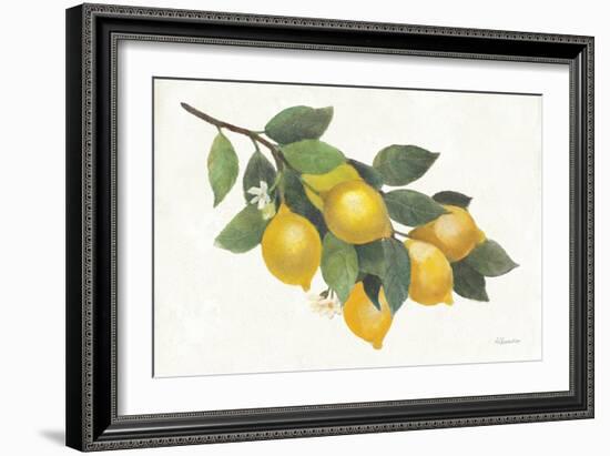 Lemon Branch I-Albena Hristova-Framed Art Print