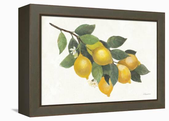 Lemon Branch I-Albena Hristova-Framed Stretched Canvas