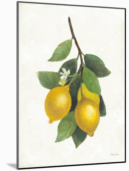 Lemon Branch III-Albena Hristova-Mounted Art Print