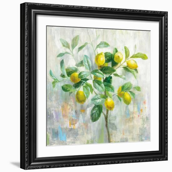 Lemon Branch-Danhui Nai-Framed Art Print