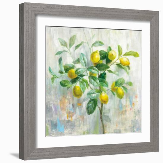 Lemon Branch-Danhui Nai-Framed Art Print