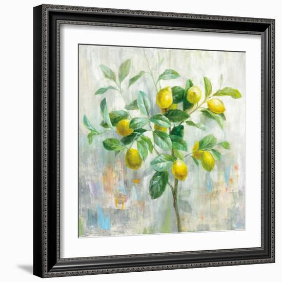 Lemon Branch-Danhui Nai-Framed Art Print