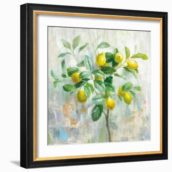 Lemon Branch-Danhui Nai-Framed Art Print