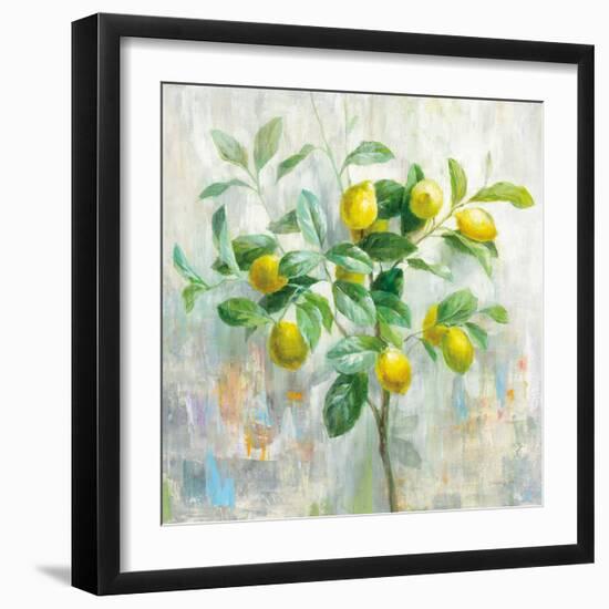 Lemon Branch-Danhui Nai-Framed Art Print