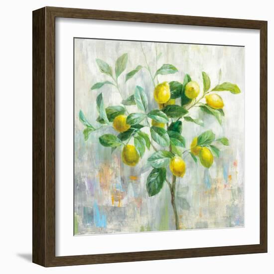 Lemon Branch-Danhui Nai-Framed Art Print