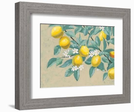 Lemon Branch-Wellington Studio-Framed Premium Giclee Print