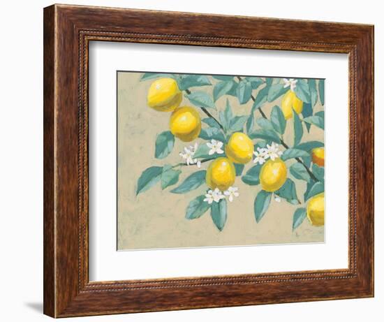 Lemon Branch-Wellington Studio-Framed Premium Giclee Print
