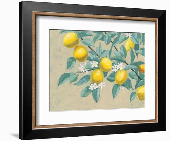 Lemon Branch-Wellington Studio-Framed Premium Giclee Print