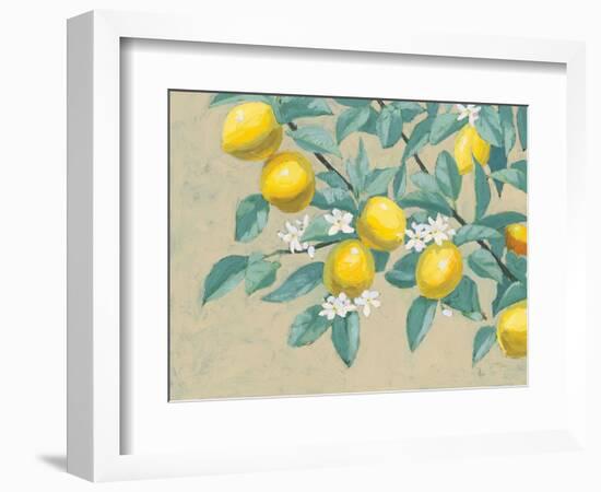 Lemon Branch-Wellington Studio-Framed Premium Giclee Print