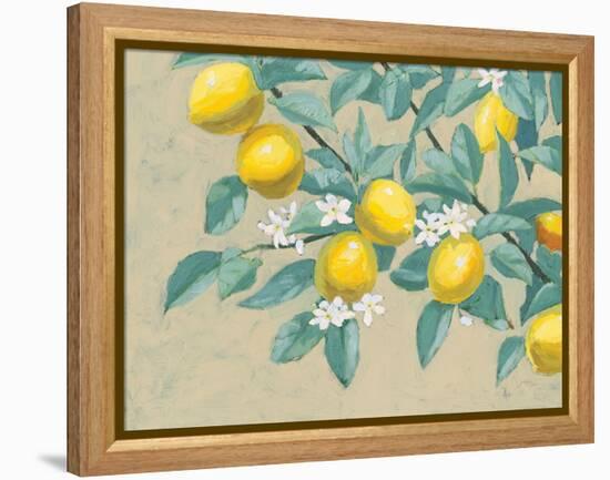 Lemon Branch-Wellington Studio-Framed Stretched Canvas