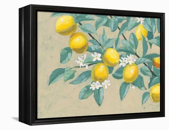 Lemon Branch-Wellington Studio-Framed Stretched Canvas