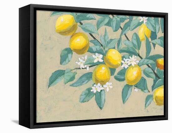 Lemon Branch-Wellington Studio-Framed Stretched Canvas