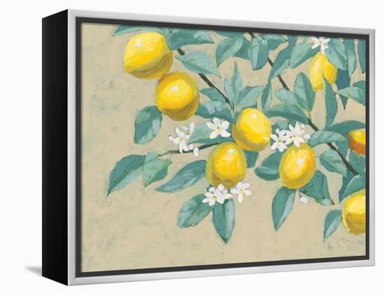 Lemon Branch-Wellington Studio-Framed Stretched Canvas