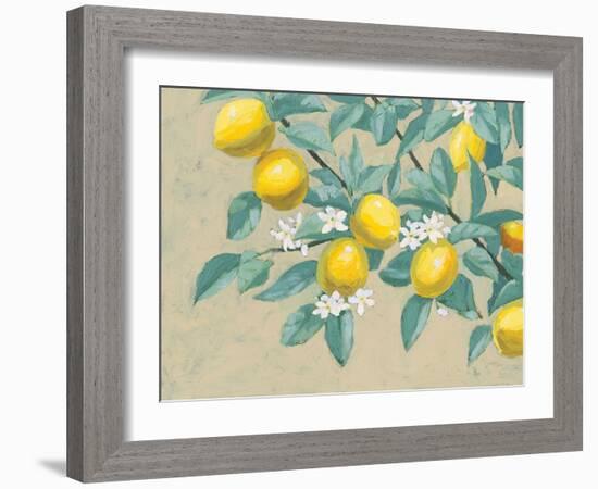 Lemon Branch-Wellington Studio-Framed Art Print