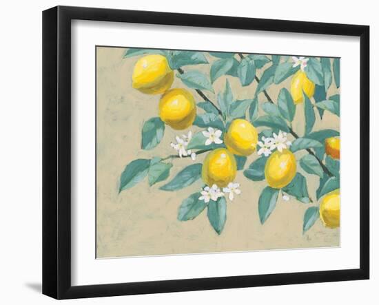 Lemon Branch-Wellington Studio-Framed Art Print