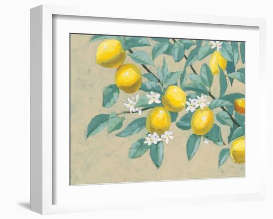 Lemon Branch-Wellington Studio-Framed Art Print