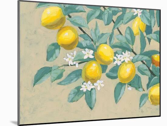 Lemon Branch-Wellington Studio-Mounted Art Print