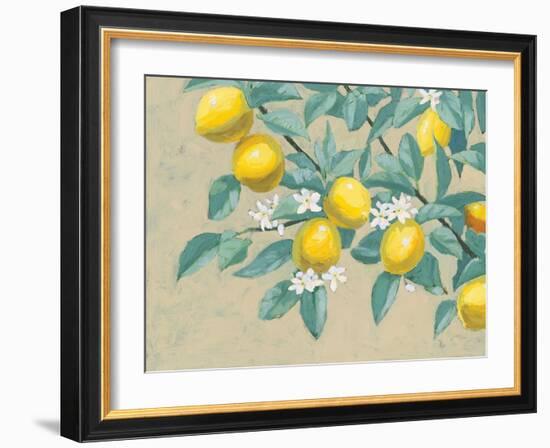 Lemon Branch-Wellington Studio-Framed Art Print