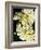 Lemon Dahlias I-Rachel Perry-Framed Photographic Print