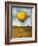 Lemon Drops-Leah Saulnier-Framed Giclee Print