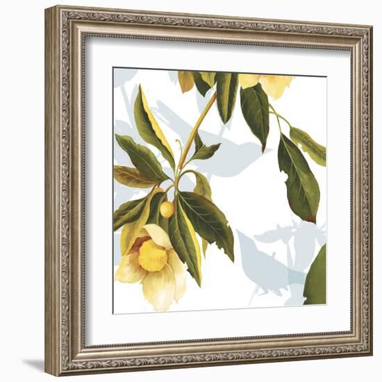 Lemon Floral-Andrew Michaels-Framed Art Print