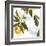 Lemon Floral-Andrew Michaels-Framed Art Print