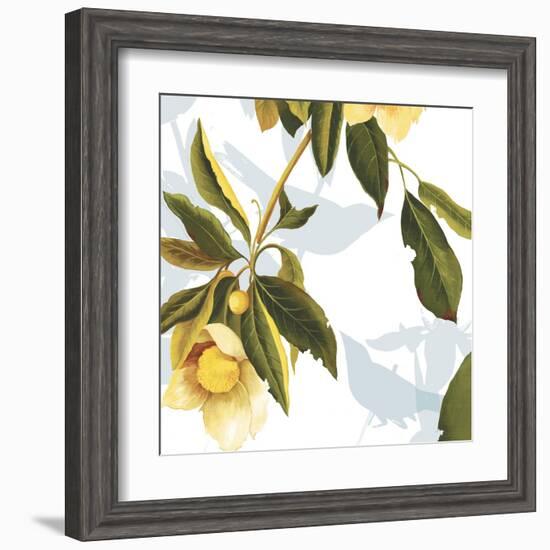 Lemon Floral-Andrew Michaels-Framed Art Print