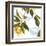 Lemon Floral-Andrew Michaels-Framed Art Print