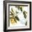 Lemon Floral-Andrew Michaels-Framed Art Print