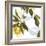 Lemon Floral-Andrew Michaels-Framed Art Print