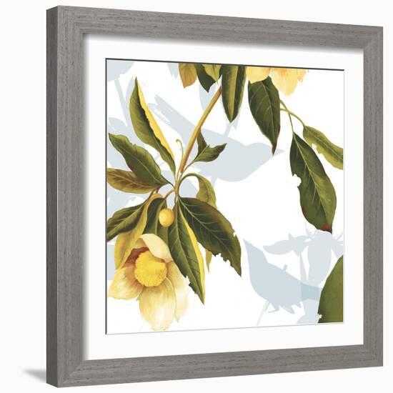 Lemon Floral-Andrew Michaels-Framed Art Print