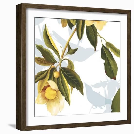 Lemon Floral-Andrew Michaels-Framed Art Print